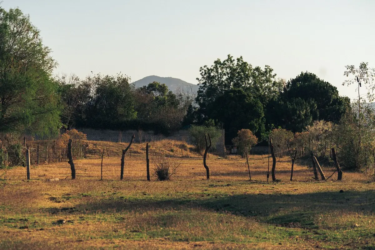 Terreno con cerco de alambre y postes: interdicto para recuperar la posesión de un terreno en México
