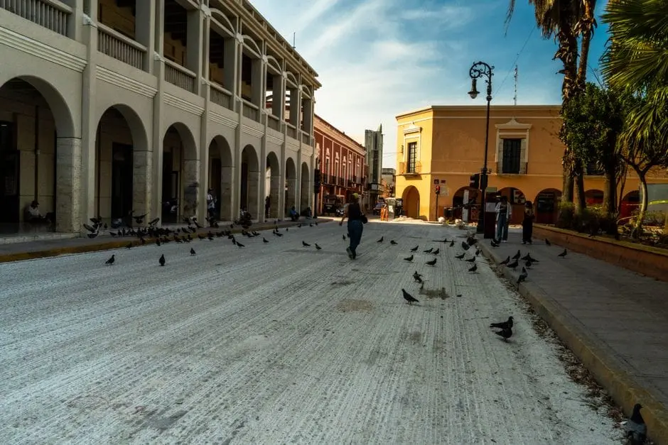 Mejores Colonias para Vivir en Mérida (2026): Precio por m² y Perfil de Zona - Inmobiliaria32