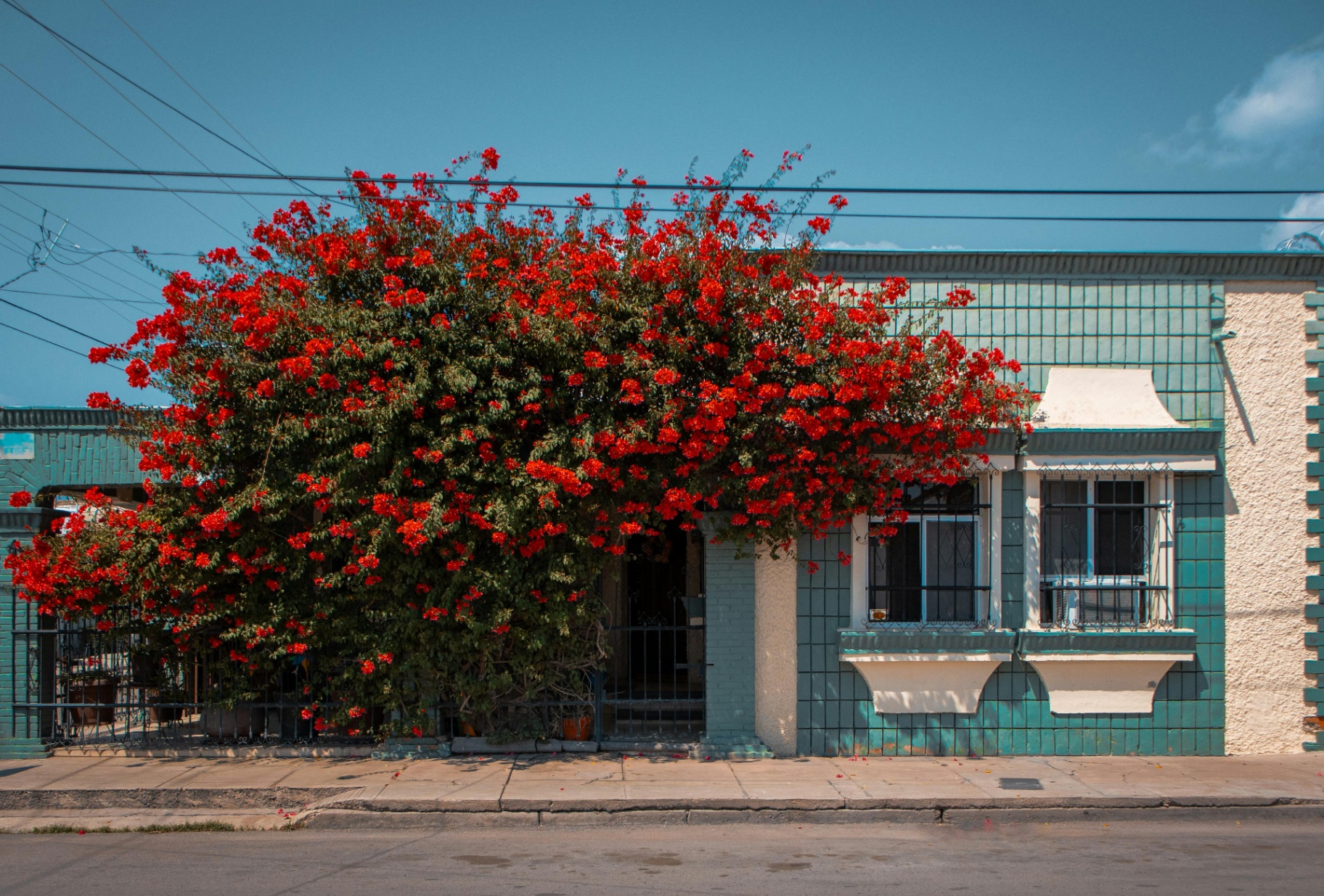 Guía Paso a Paso para Comprar tu Primera Casa en México en 2025 - Inmobiliaria32